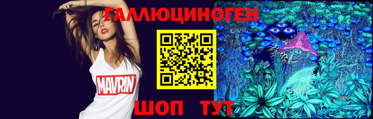 Псилоцибиновые грибы Psilocybe  Вход с VPN  Новосибирск 
