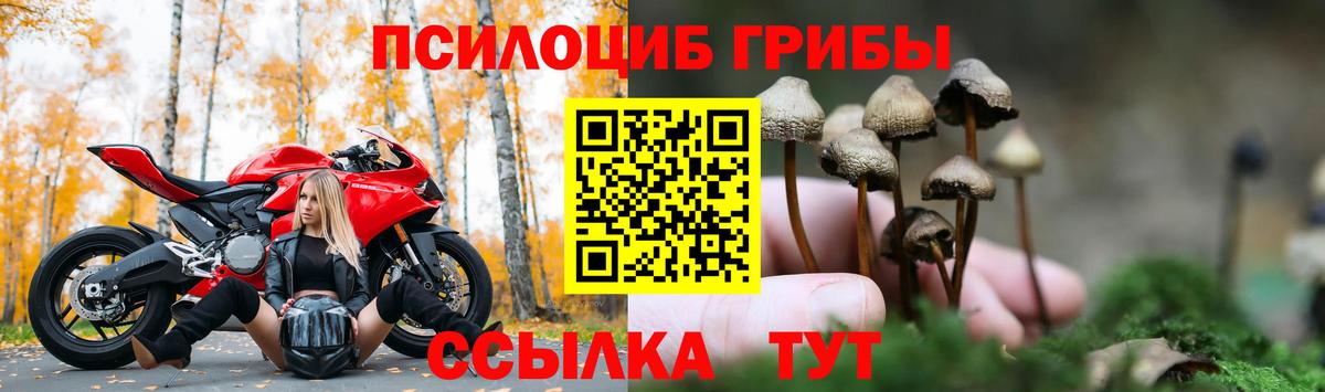 Галлюциногенные грибы Magic Shrooms Новосибирск